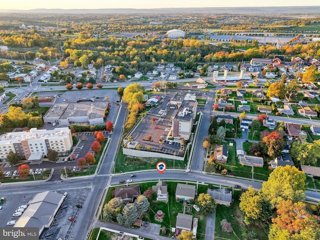 bird's eye view