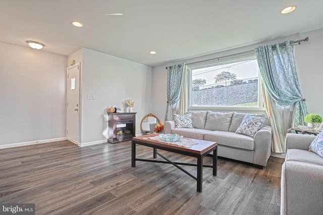 living room with dark hardwood / wood-style floors