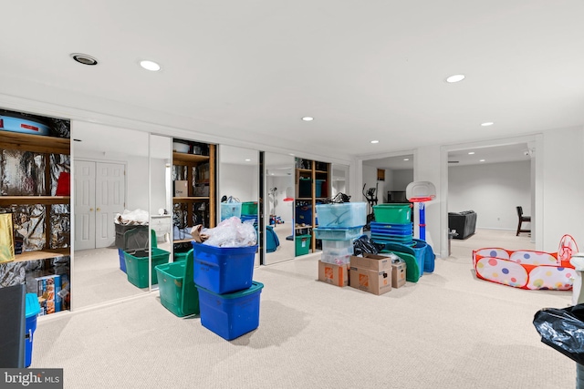 basement featuring carpet flooring