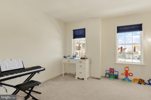 interior space with light colored carpet