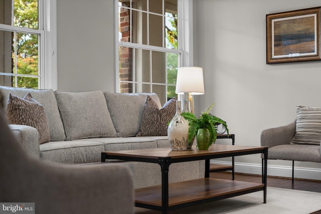 living room featuring hardwood / wood-style floors