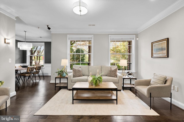 living room featuring ornamental molding, dark hardwood / wood-style floors, and a notable chandelier