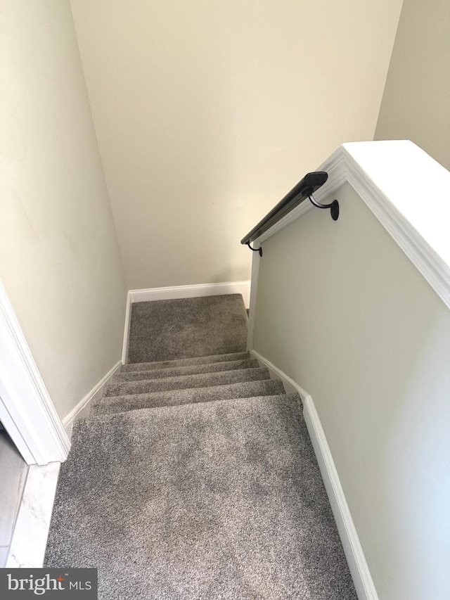 stairs with carpet floors