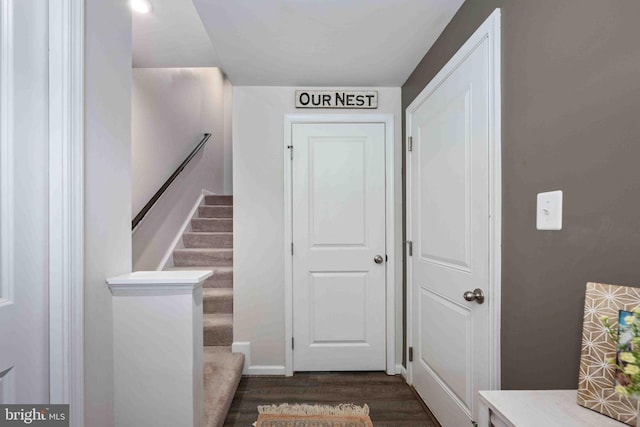 interior space featuring hardwood / wood-style flooring