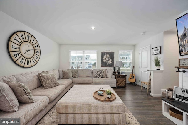 living room featuring a healthy amount of sunlight and dark hardwood / wood-style flooring