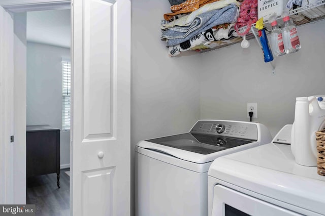 clothes washing area featuring wood-type flooring and washer and clothes dryer