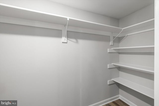 spacious closet featuring dark hardwood / wood-style flooring