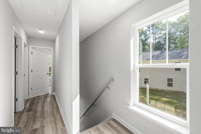 hallway with hardwood / wood-style flooring