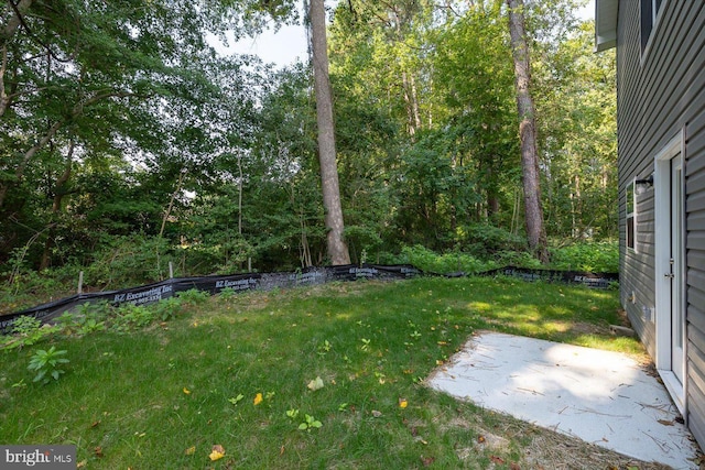 view of yard with a patio area