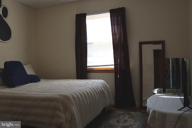 bedroom with multiple windows