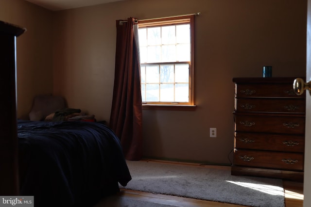 bedroom featuring multiple windows