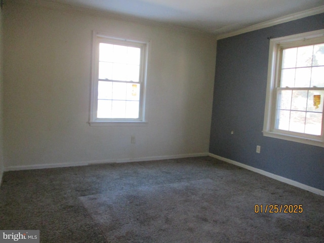 carpeted spare room with crown molding