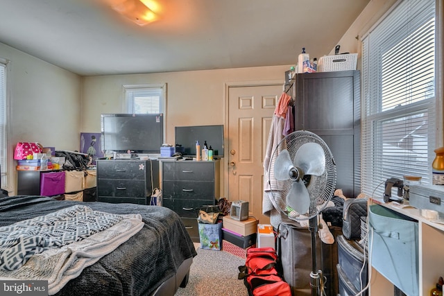 bedroom with carpet flooring