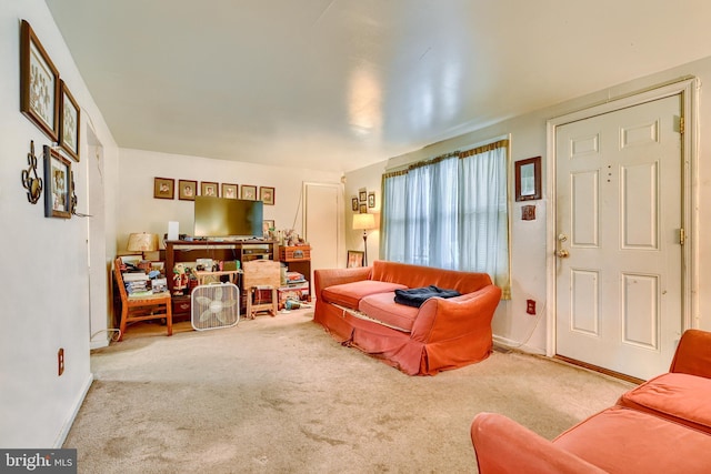 living room with light colored carpet