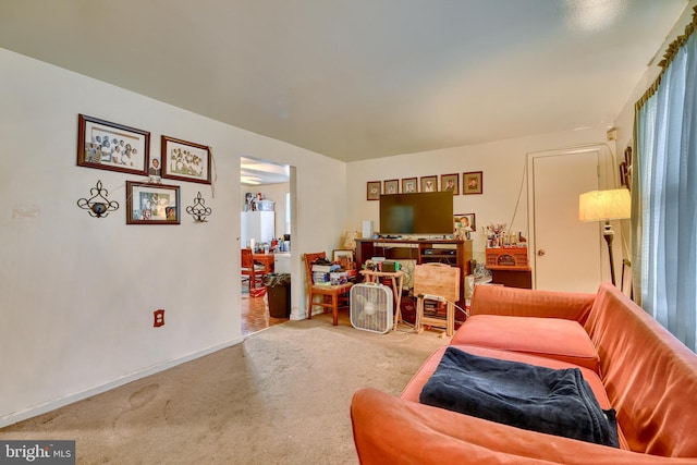 living area with light colored carpet