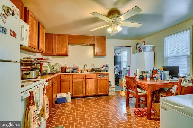 kitchen featuring ceiling fan, white appliances, sink, and a wealth of natural light