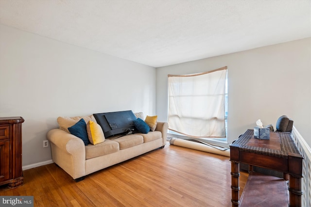 living room featuring wood-type flooring