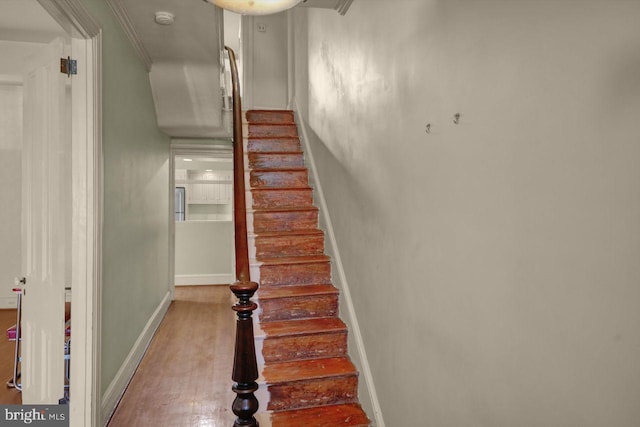 stairway with hardwood / wood-style flooring