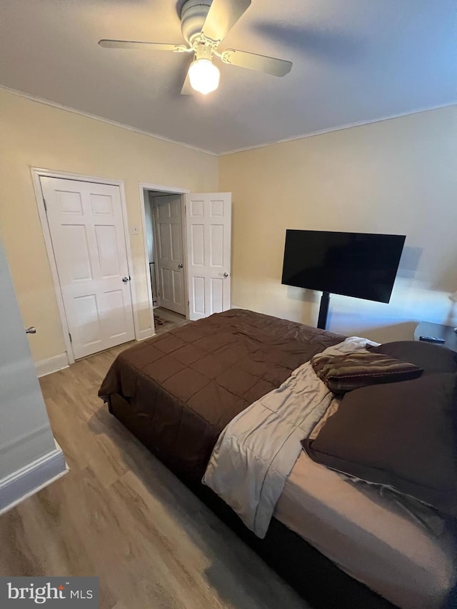 bedroom featuring light hardwood / wood-style flooring and ceiling fan