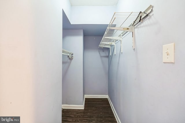 walk in closet featuring dark hardwood / wood-style floors