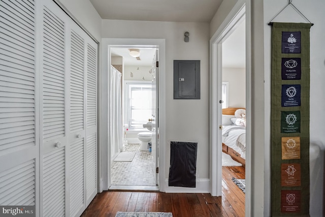 hallway with dark hardwood / wood-style flooring and electric panel