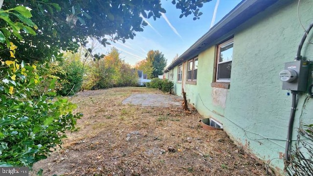 view of yard featuring a patio area