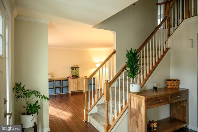 stairway featuring wood-type flooring and ornamental molding