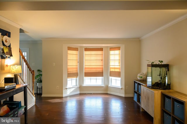 interior space featuring crown molding and dark wood-type flooring