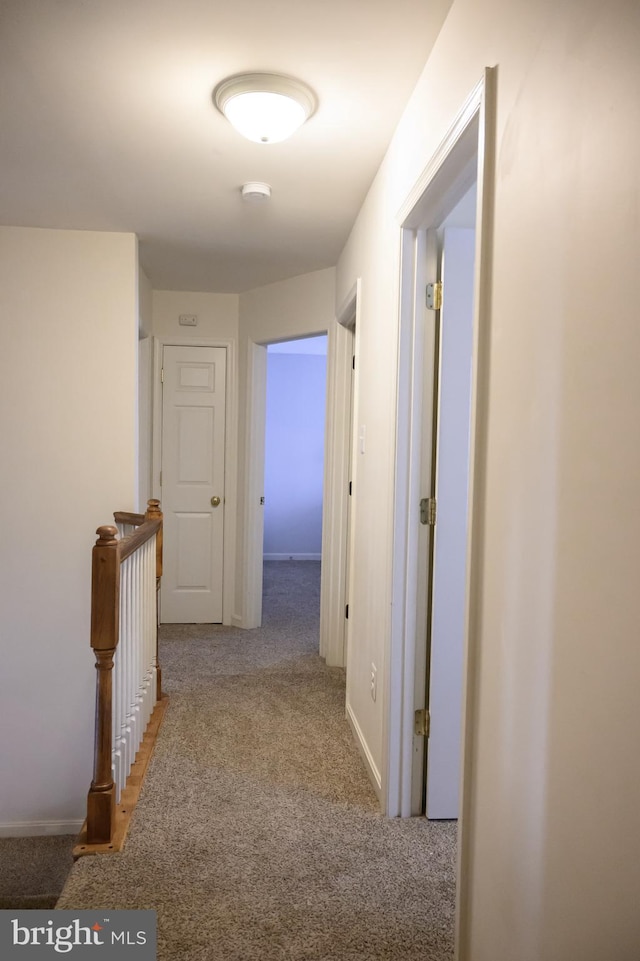 hallway featuring carpet floors