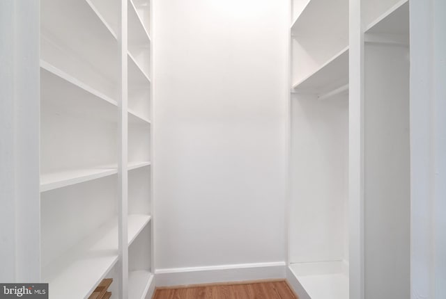 walk in closet featuring wood-type flooring