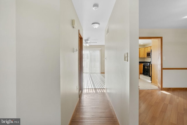 hallway featuring light hardwood / wood-style flooring