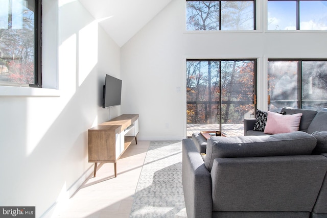 living room with a high ceiling and a wealth of natural light