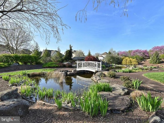 exterior space with a small pond