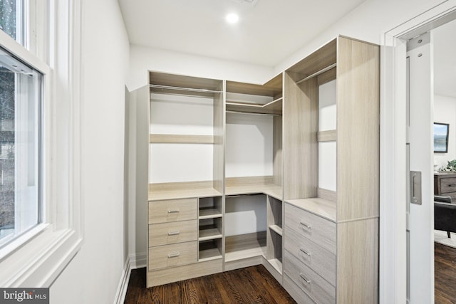 spacious closet featuring dark hardwood / wood-style flooring and built in desk