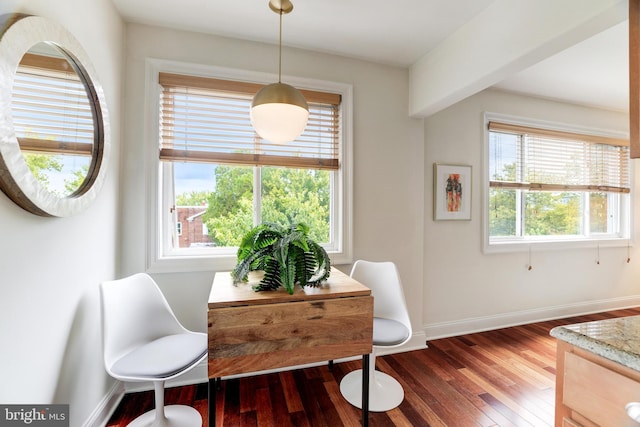 living area with plenty of natural light and dark hardwood / wood-style flooring