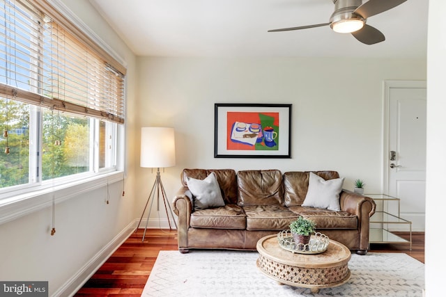 living room with ceiling fan and wood-type flooring