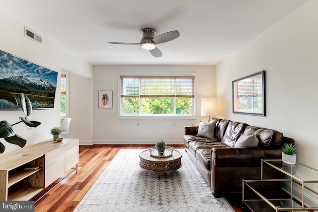 living room with hardwood / wood-style flooring and ceiling fan