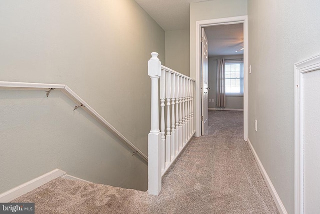 hallway featuring carpet