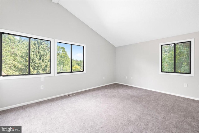 empty room with lofted ceiling with beams, carpet, and plenty of natural light