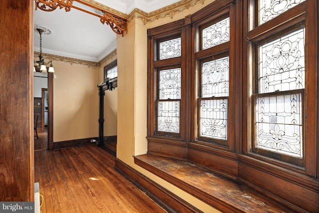 entryway featuring baseboards, ornamental molding, dark wood-type flooring, and a healthy amount of sunlight