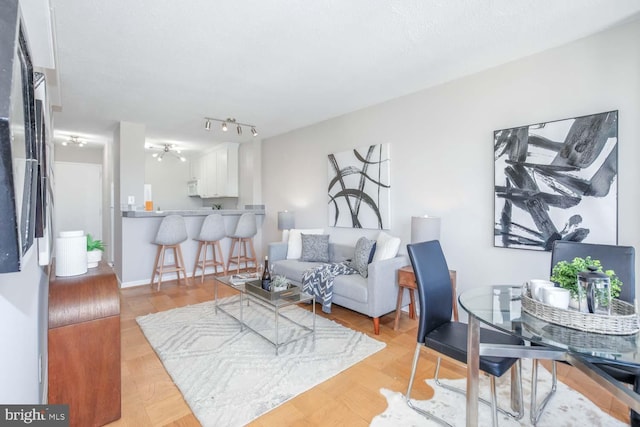 living room with light hardwood / wood-style flooring