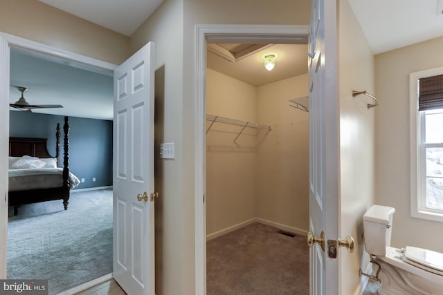 walk in closet featuring ceiling fan, visible vents, and light colored carpet