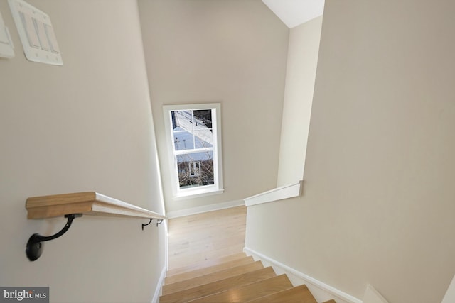 staircase with hardwood / wood-style floors