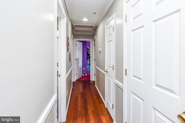 hall featuring crown molding and dark hardwood / wood-style floors