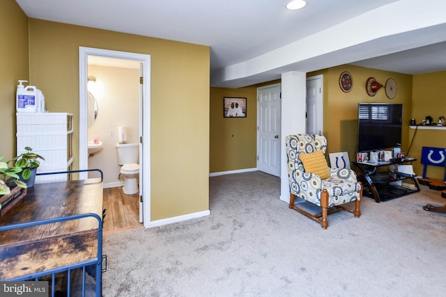 sitting room featuring carpet floors