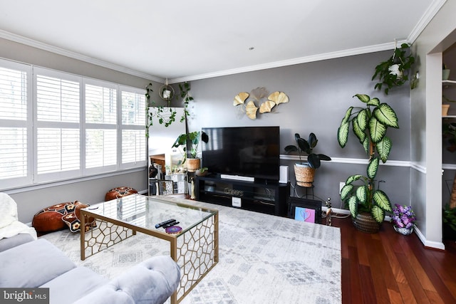 living room featuring hardwood / wood-style flooring and ornamental molding