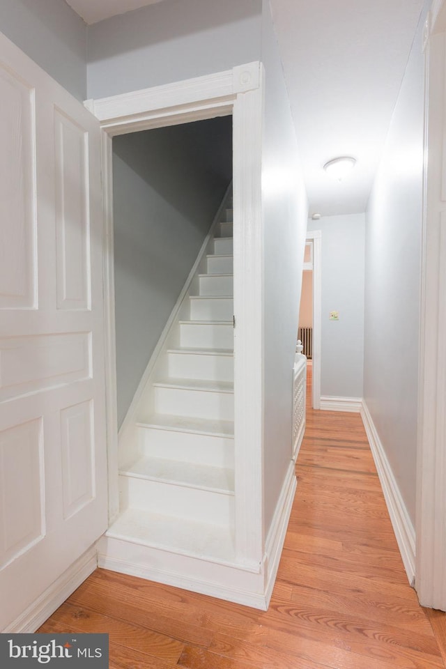 stairway with wood-type flooring