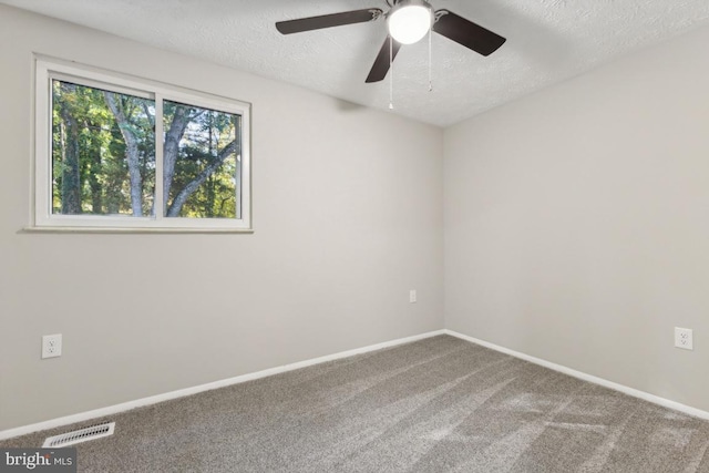 carpeted empty room featuring a textured ceiling