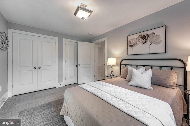 bedroom with multiple closets and wood-type flooring