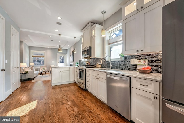 kitchen with pendant lighting, white cabinetry, stainless steel appliances, dark hardwood / wood-style floors, and light stone counters